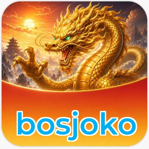 Privacy & Security bosjoko